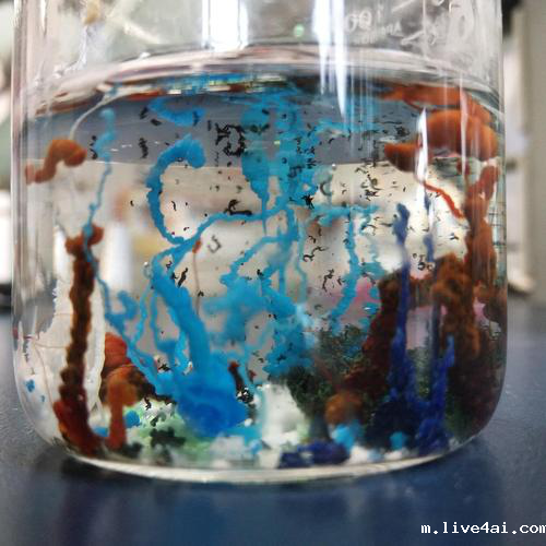 1589522068317539.png 图片3.png