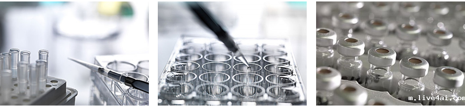 1668672976905259.png 1.png